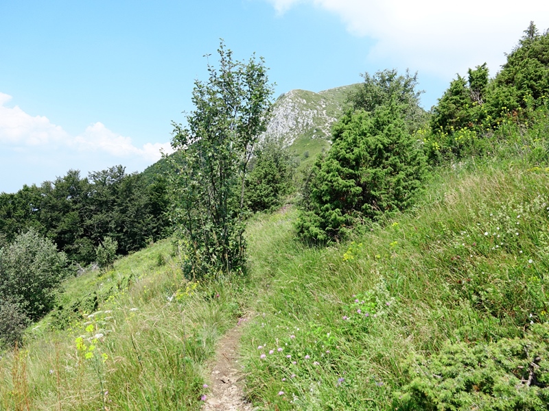 (Učka, Jul 2024.)